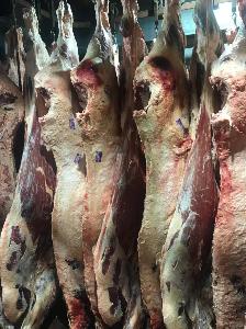 Мясо в Петропавловске-Камчатском говядина туша.jpg